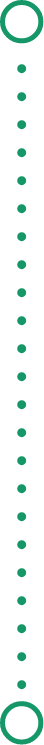 Vertical Divider image